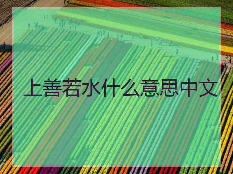 上善若水什么意思中文