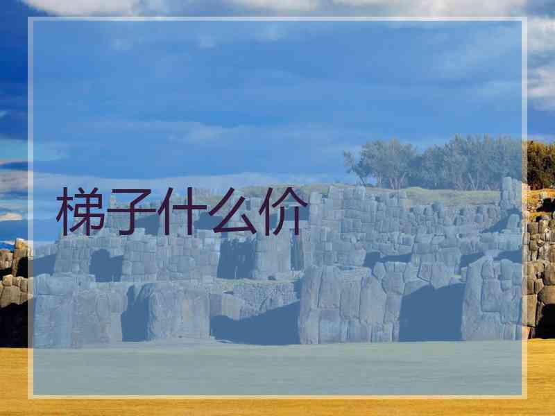 梯子什么价