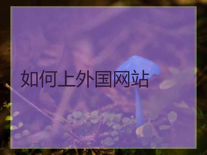 如何上外国网站