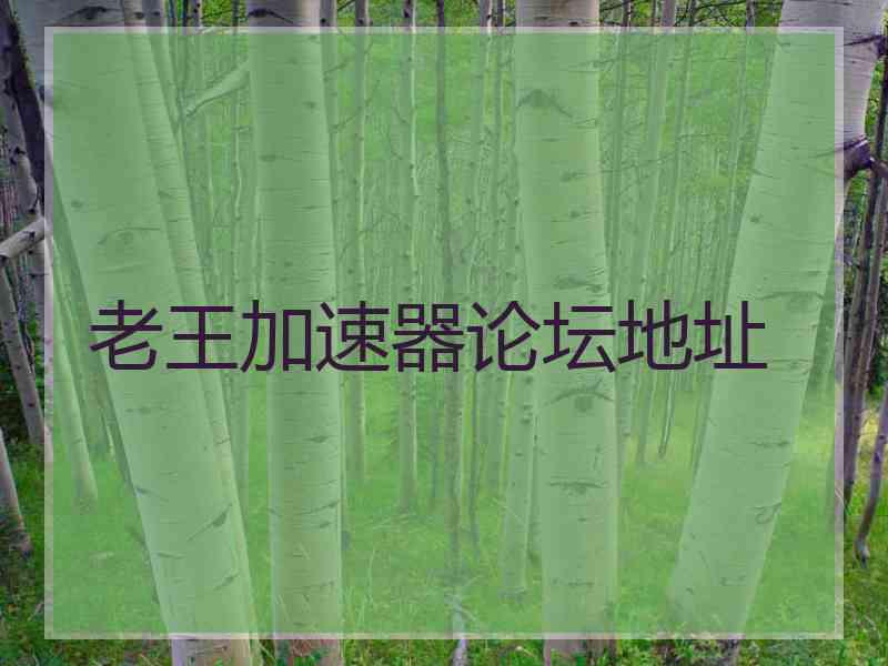 老王加速器论坛地址