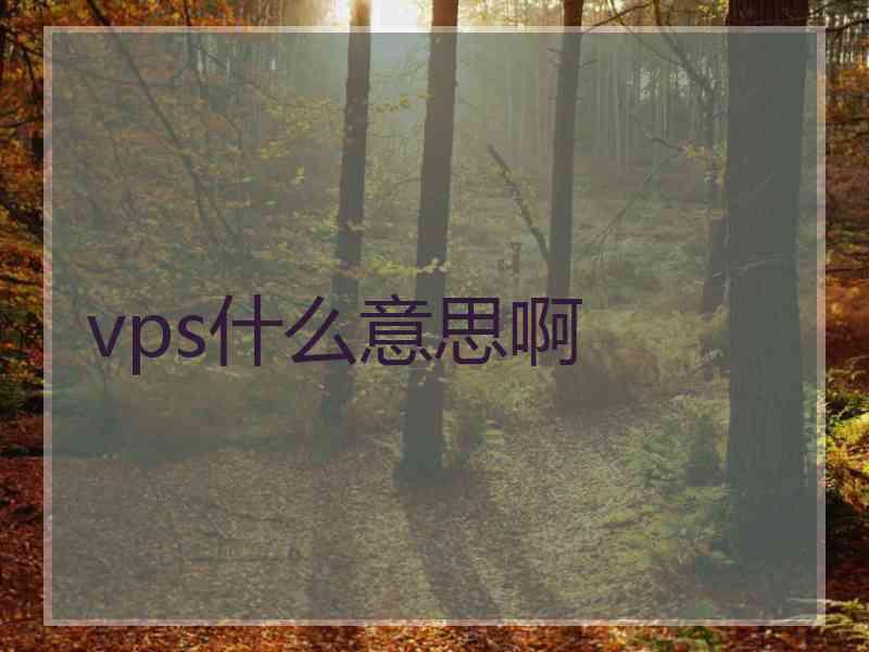 vps什么意思啊