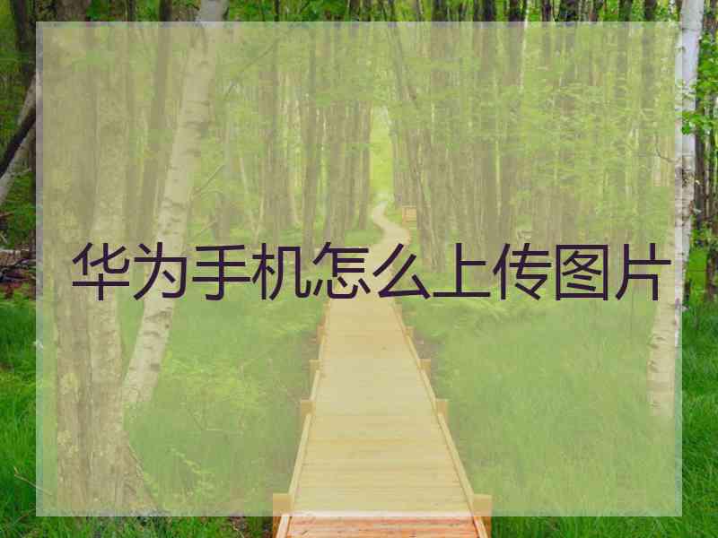 华为手机怎么上传图片