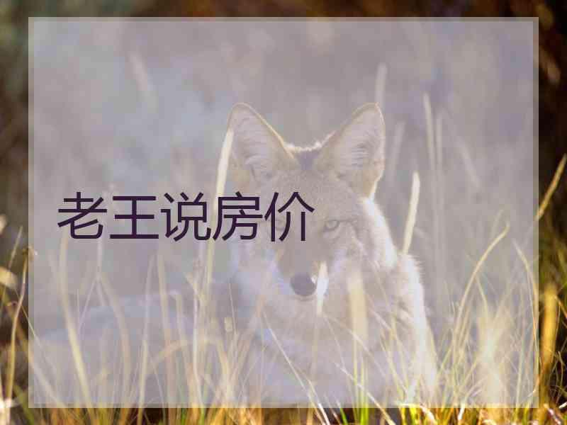 老王说房价