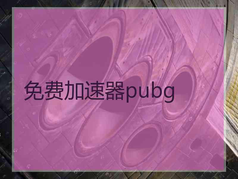 免费加速器pubg