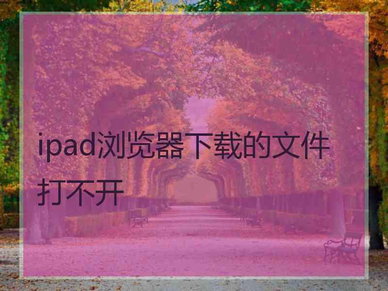 ipad浏览器下载的文件打不开