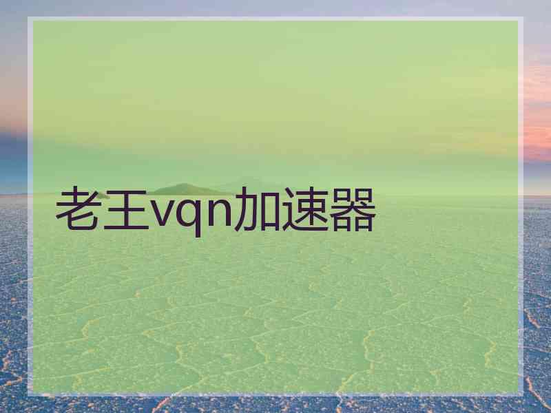 老王vqn加速器