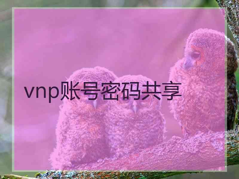 vnp账号密码共享
