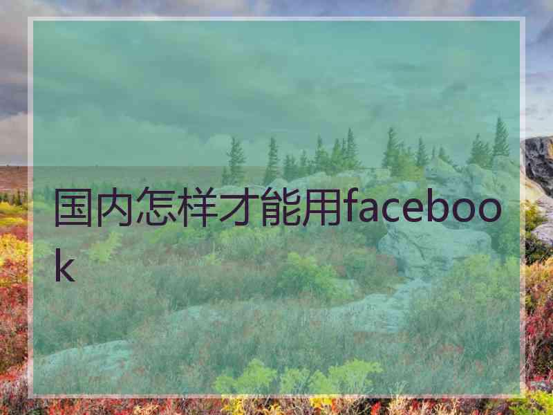 国内怎样才能用facebook