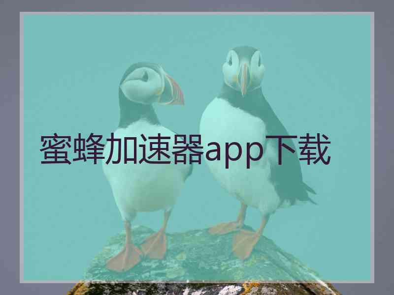蜜蜂加速器app下载