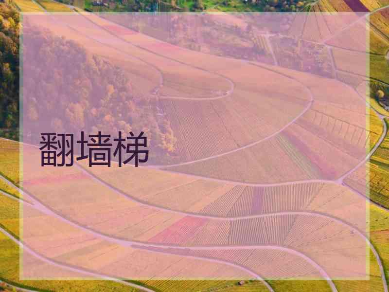 翻墙梯