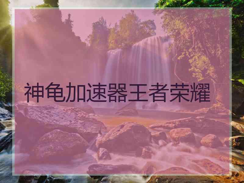 神龟加速器王者荣耀