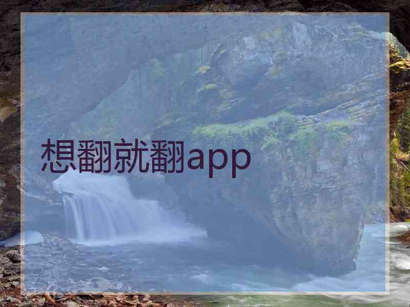 想翻就翻app