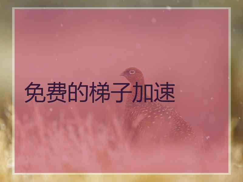 免费的梯子加速