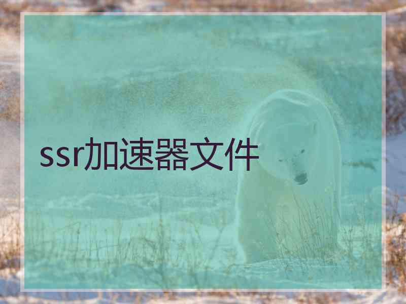 ssr加速器文件