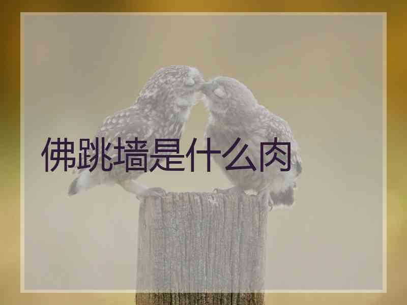佛跳墙是什么肉