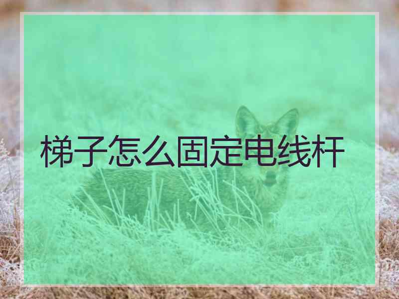 梯子怎么固定电线杆