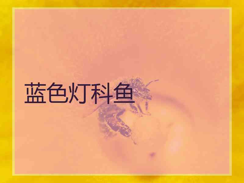 蓝色灯科鱼