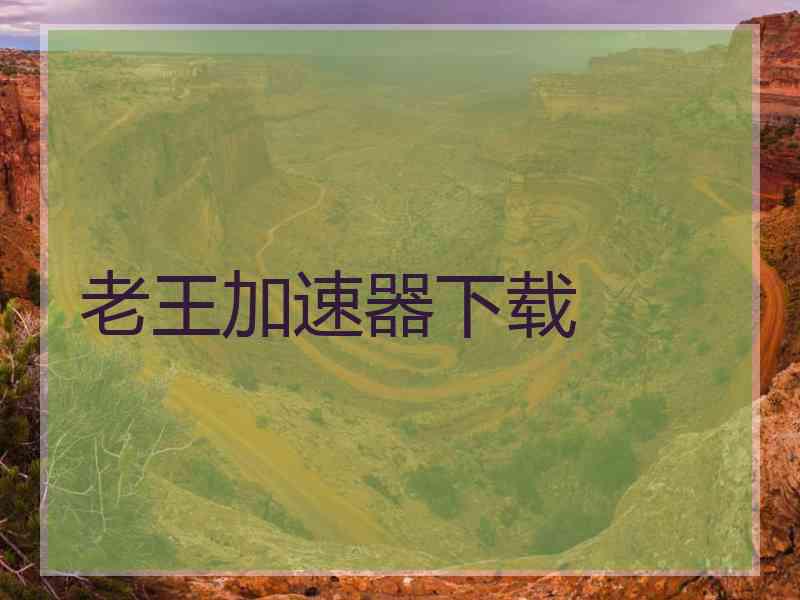 老王加速器下载