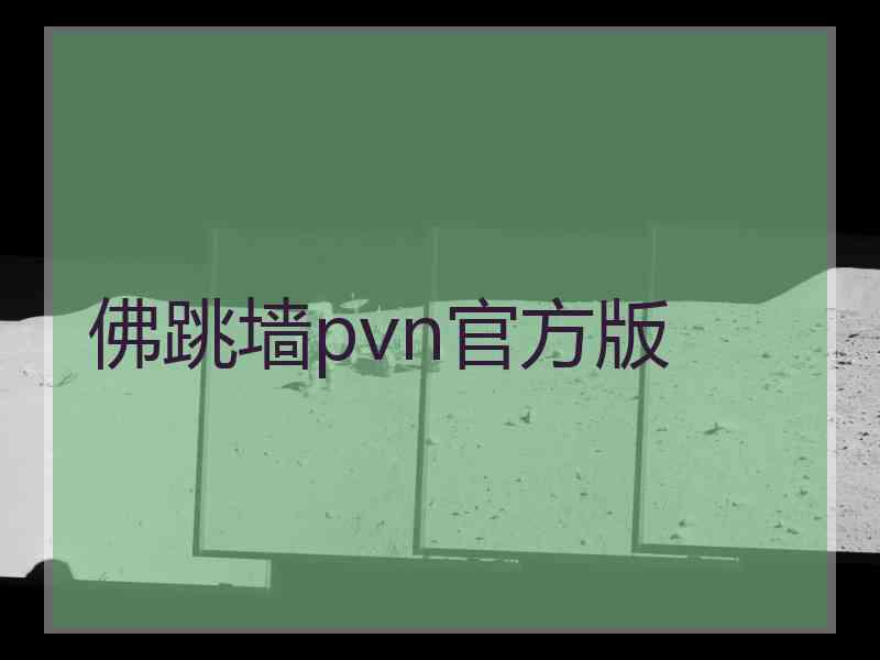 佛跳墙pvn官方版