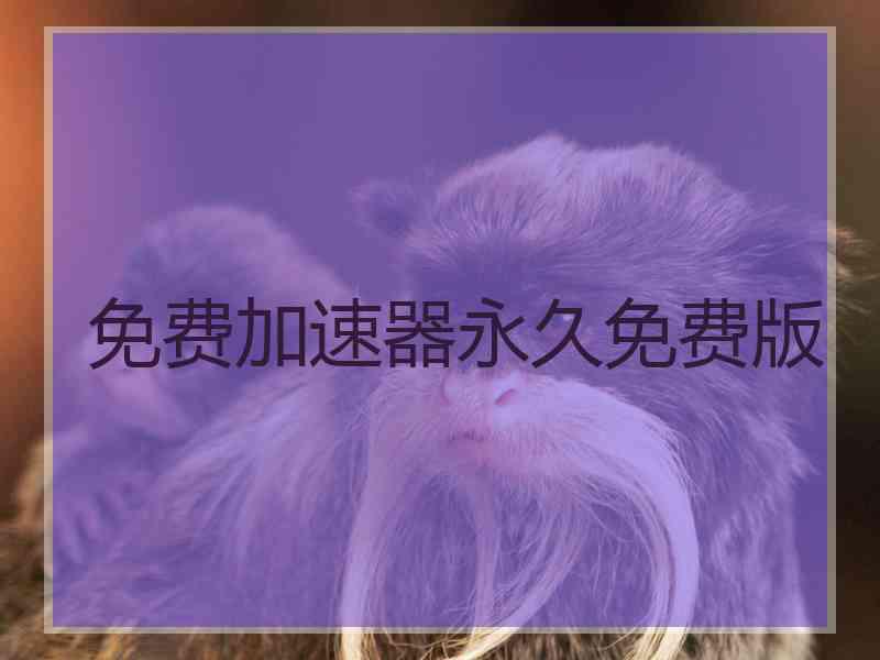 免费加速器永久免费版