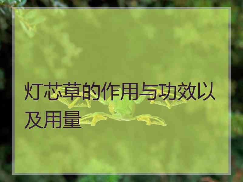 灯芯草的作用与功效以及用量