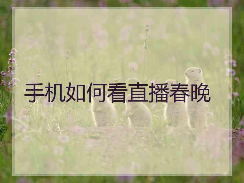 手机如何看直播春晚