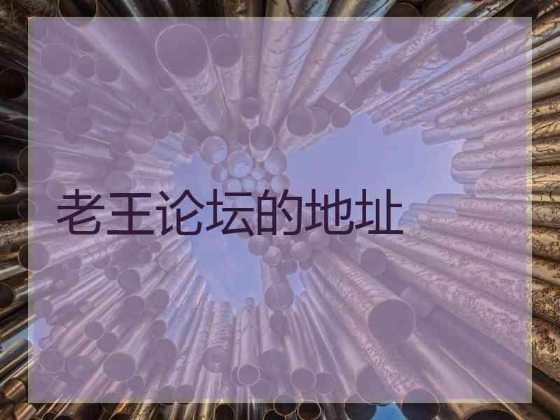 老王论坛的地址