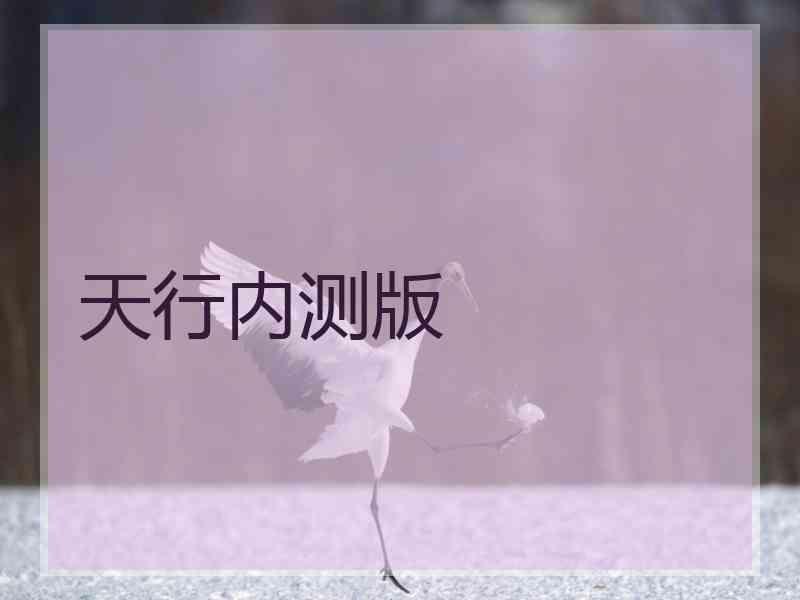 天行内测版