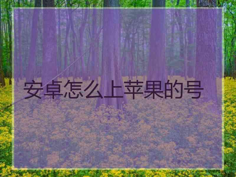 安卓怎么上苹果的号