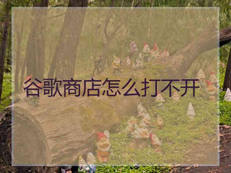 谷歌商店怎么打不开