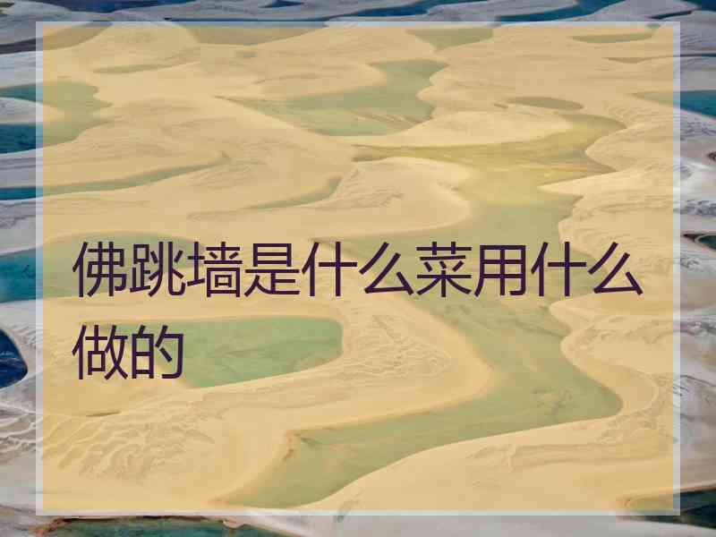 佛跳墙是什么菜用什么做的
