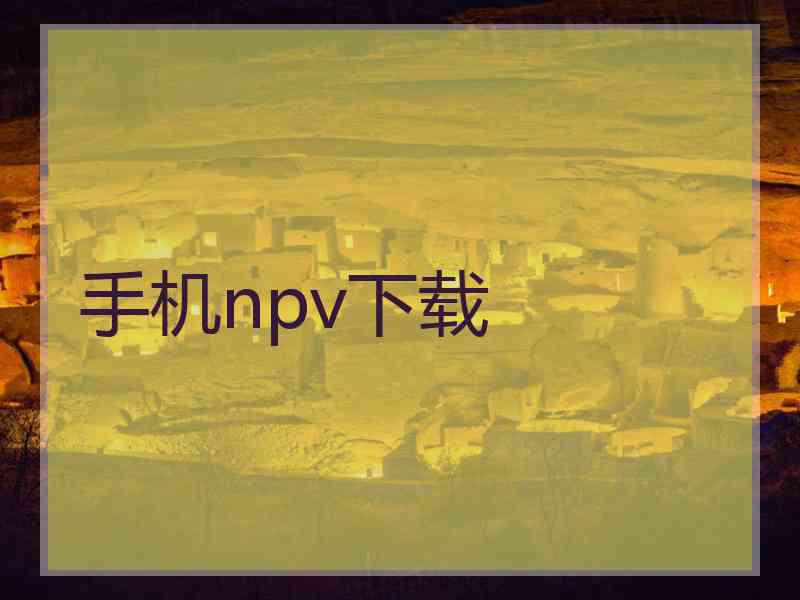 手机npv下载