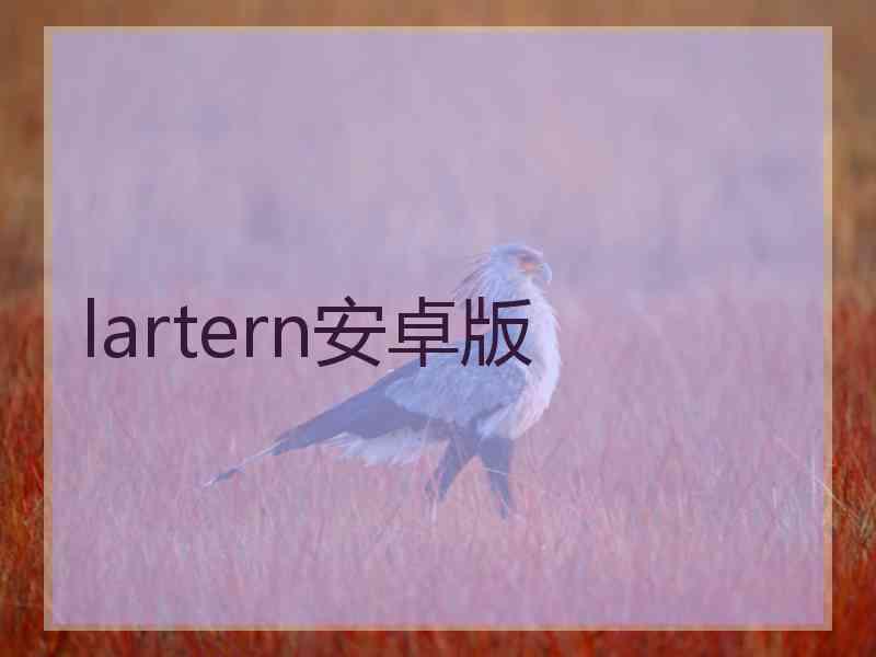 lartern安卓版