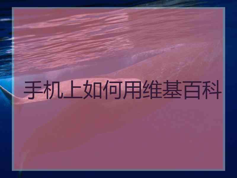 手机上如何用维基百科