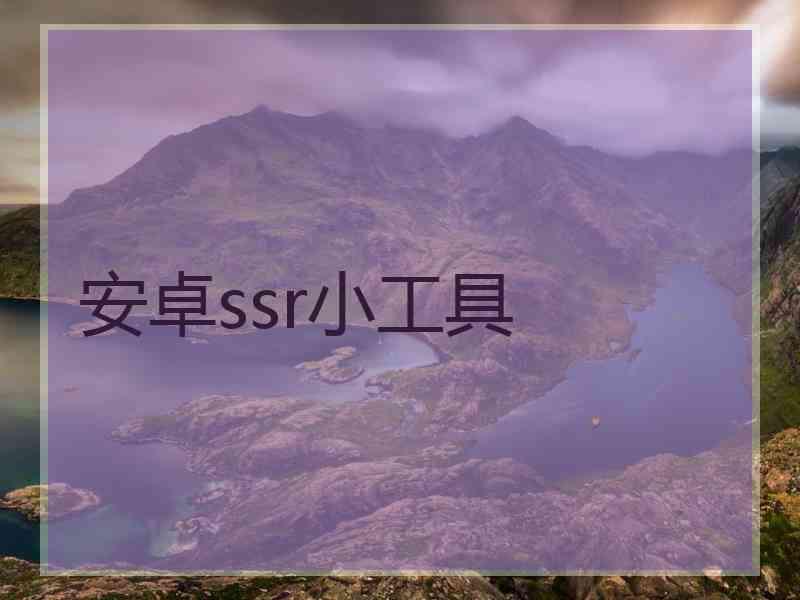 安卓ssr小工具
