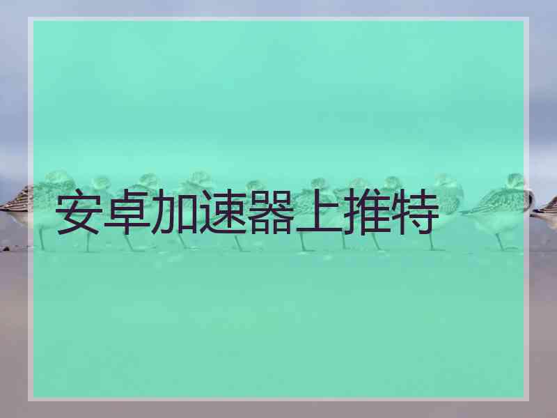 安卓加速器上推特