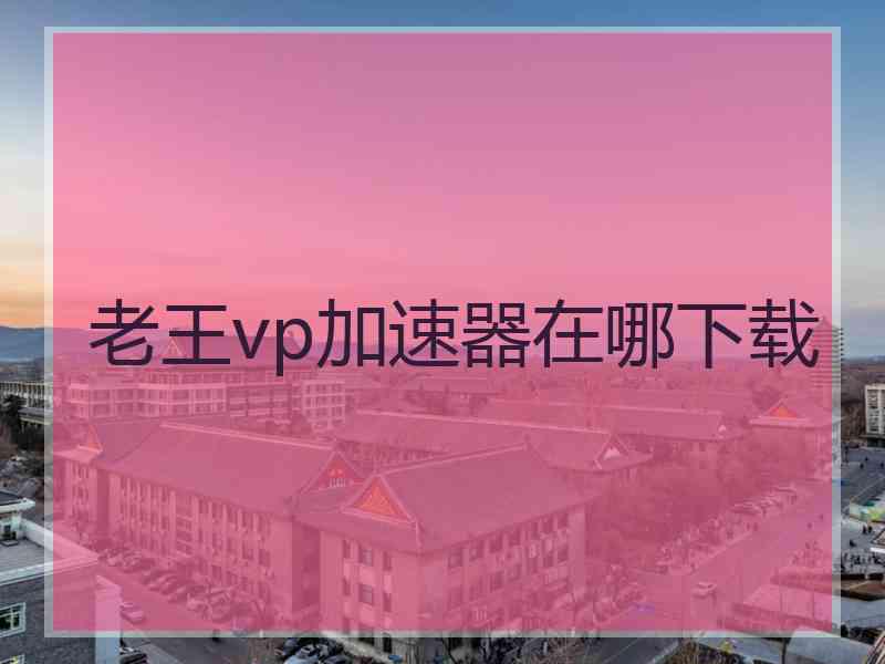 老王vp加速器在哪下载