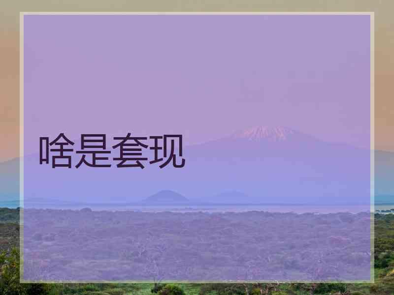啥是套现