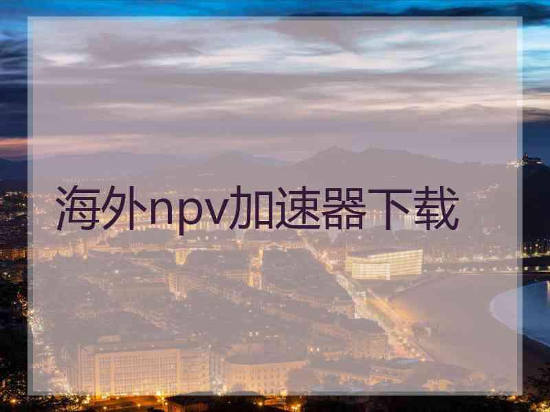 海外npv加速器下载