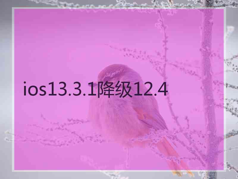 ios13.3.1降级12.4