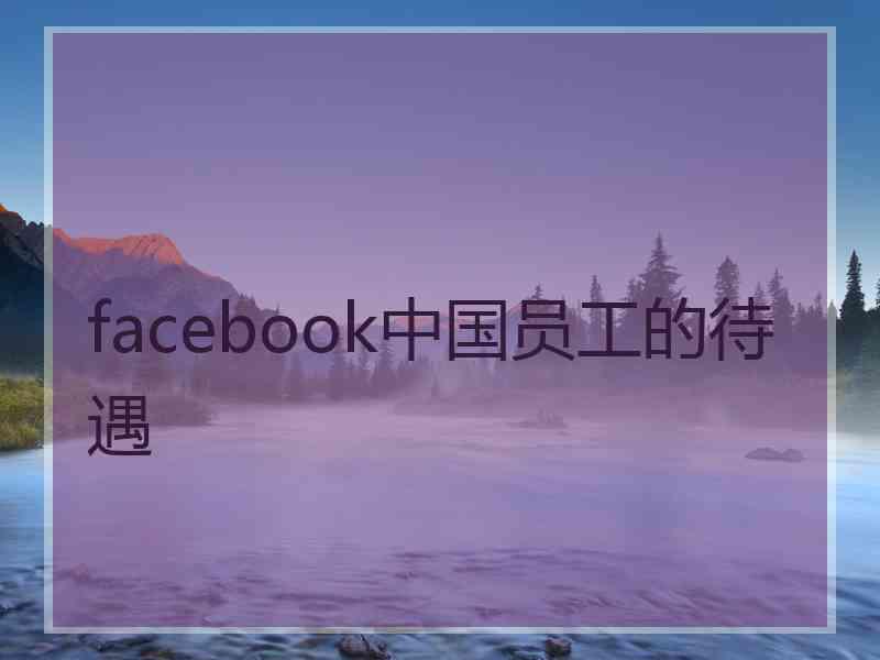 facebook中国员工的待遇