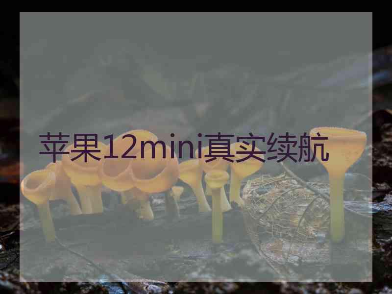 苹果12mini真实续航