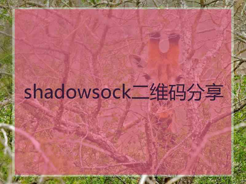 shadowsock二维码分享