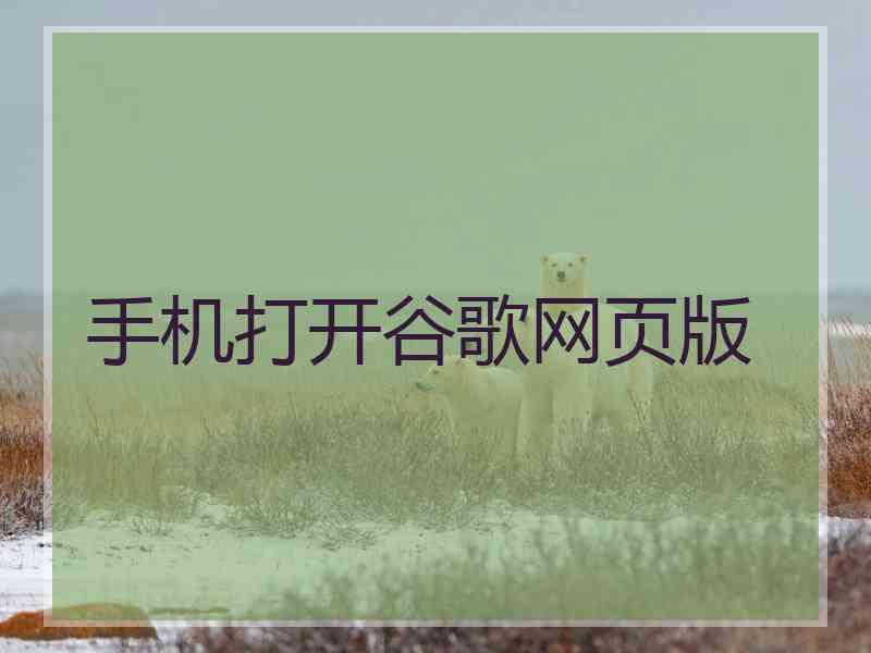 手机打开谷歌网页版