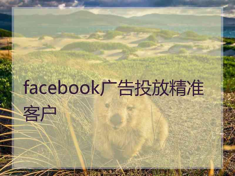 facebook广告投放精准客户