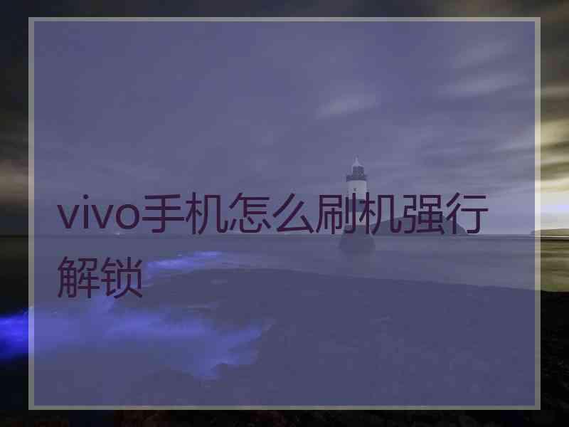 vivo手机怎么刷机强行解锁