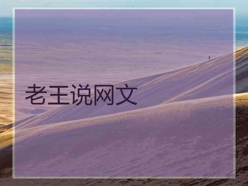 老王说网文