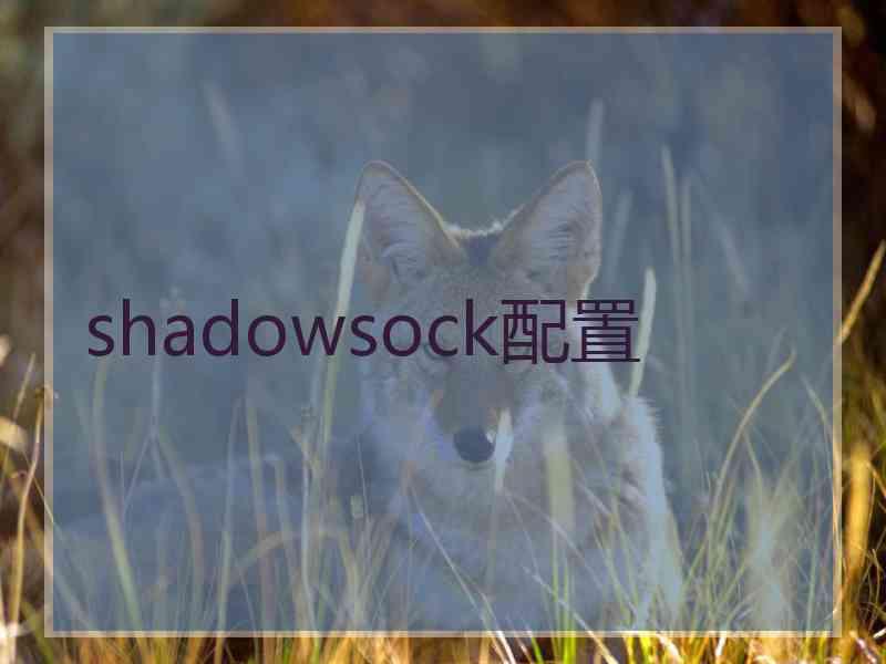 shadowsock配置