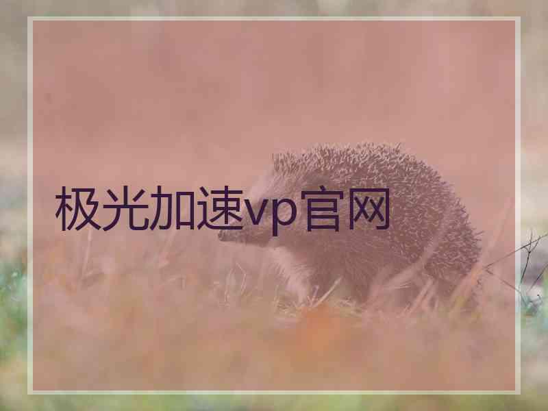 极光加速vp官网