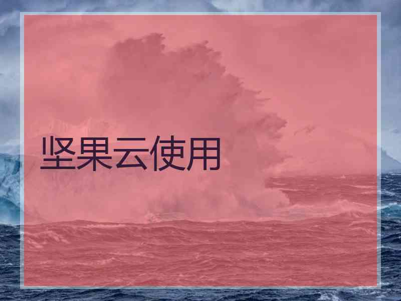 坚果云使用